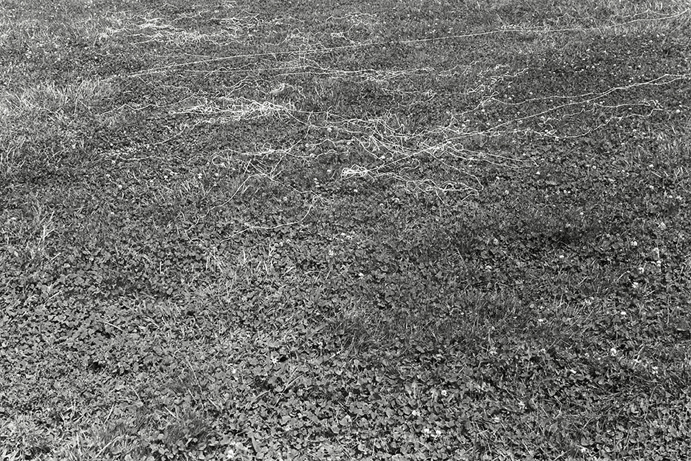 canvas thread blown by the wind while flying a kite South Meadow, Snug Harbor variable dimension documentary photograph, gelatin silver print 2013