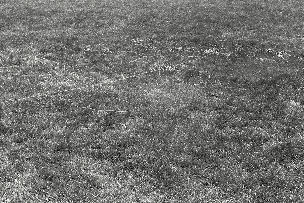 canvas thread blown by the wind while flying a kite Sheep Meadow variable dimension documentary photograph, gelatin silver print 2012
